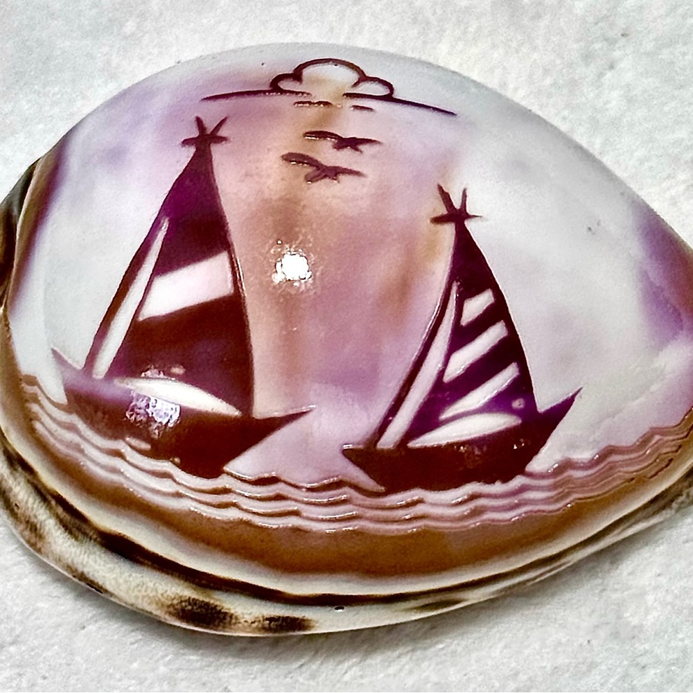 Carved Cowrie Shell Decorative Sailboat Design Seashell Coastal Beach Decor EUC